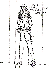 Click for larger image