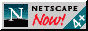 [Download Netscape]