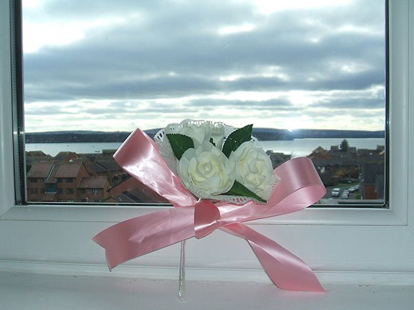 Image Copyright Steve and Linda / TimeWarp - Click to return