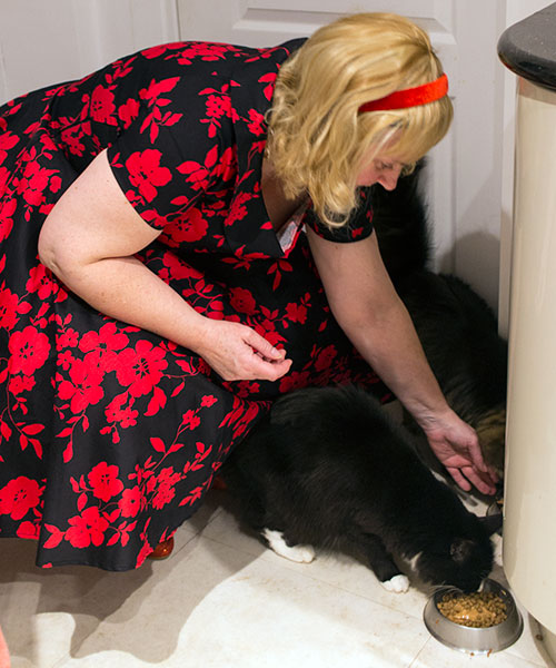 Image Copyright TimeWarp Webmaster / TimeWarp - Click to return