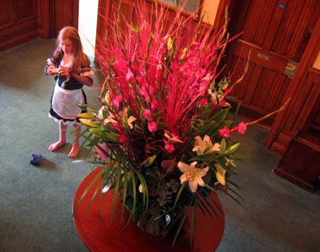 Image © Stephanie Freeman / Illya Freeman 2007