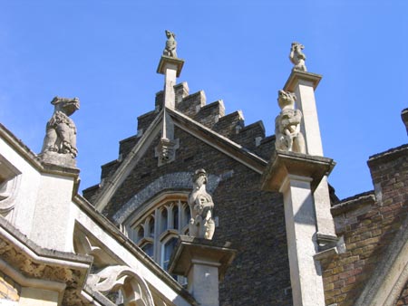 Image © Steve Hammatt 2007