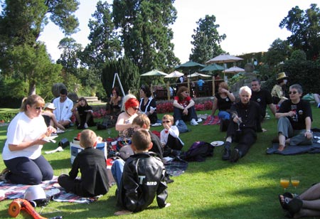 Image © Steve Hammatt 2007