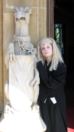 Image © Steve Hammatt 2007