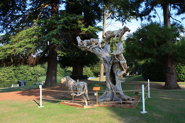 Image © Wayne and Steve / TimeWarp 2013