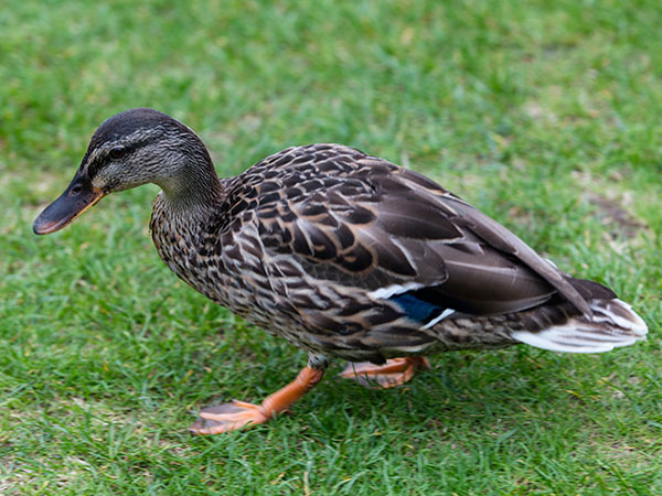 Image © TimeWarp 2015