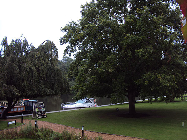 Image © Davina / TimeWarp 2015