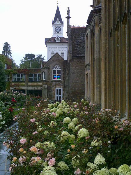 Image © Thunderwing Sue / TimeWarp 2015