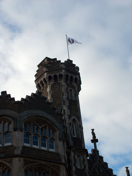 Image © Thunderwing Sue / TimeWarp 2016