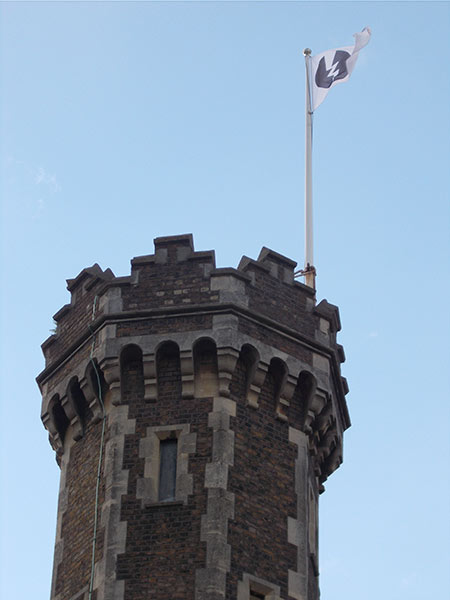 Image © Thunderwing Sue / TimeWarp 2016