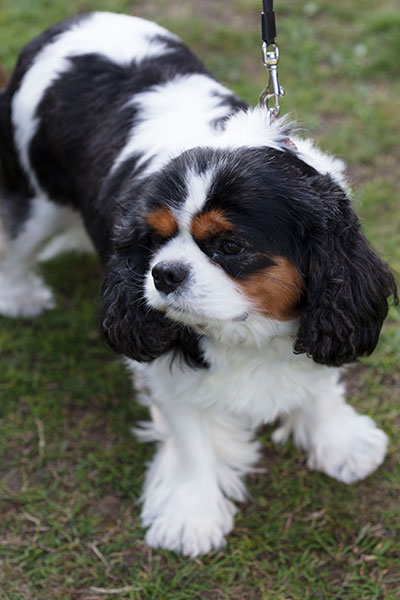 Image © TWW / TimeWarp 2017