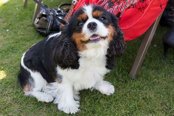 Image © TWW / TimeWarp 2017