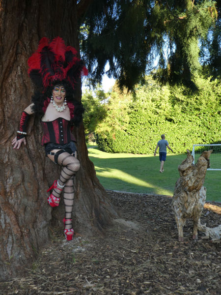 Image © Norman & Karen / TimeWarp 2017