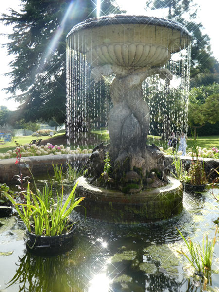 Image © Norman & Karen / TimeWarp 2017