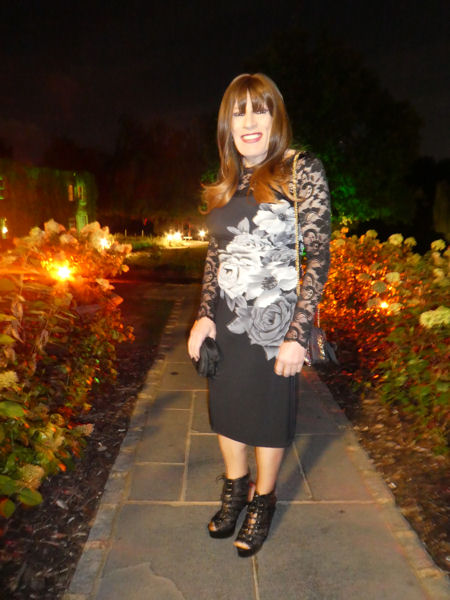 Image © Norman and Karen / TimeWarp 2018