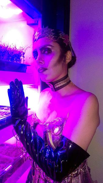 Image © Time & Norma / TimeWarp 2018