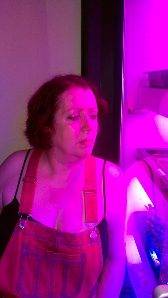 Image © Time & Norma / TimeWarp 2018