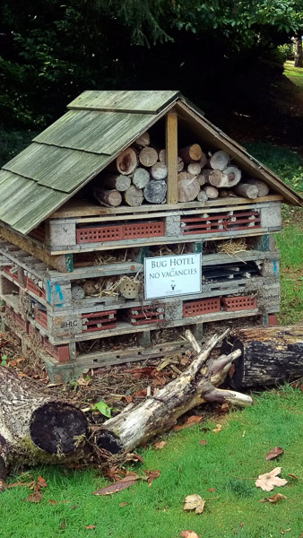 Image © Time & Norma / TimeWarp 2018