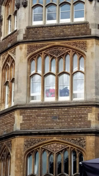 Image © Time & Norma / TimeWarp 2018