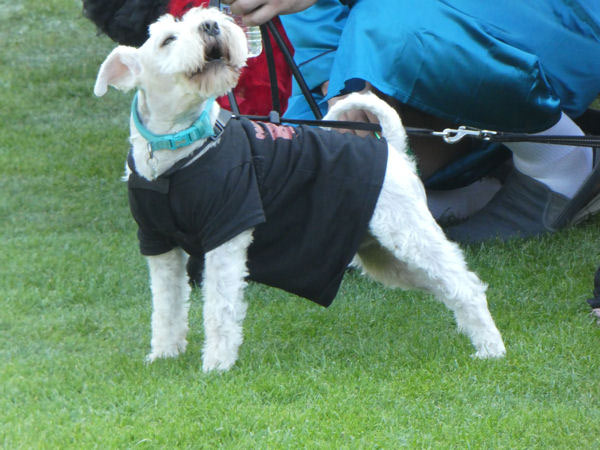 Image © Karen & Norman / TimeWarp 2019