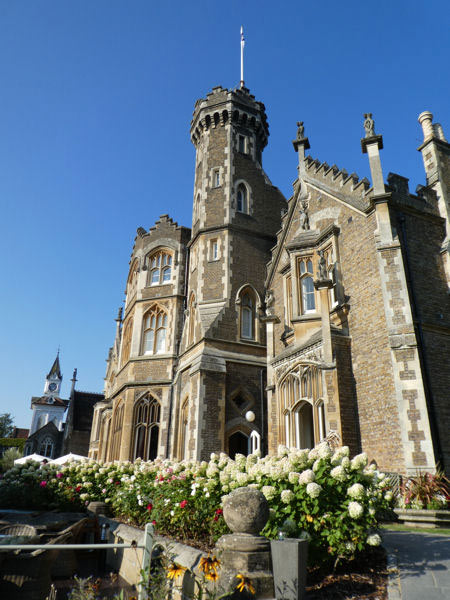 Image © Karen & Norman / TimeWarp 2019