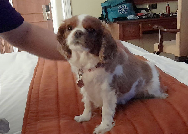 Image © Helen and Mark / TimeWarp 2021