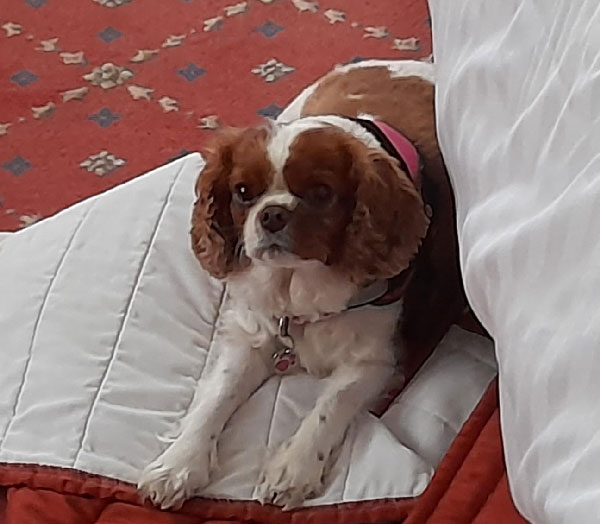 Image © Helen and Mark / TimeWarp 2021