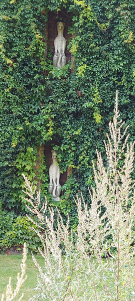 Image © Scott and Sara / TimeWarp 2021