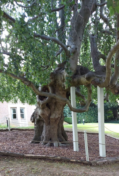 Image © Scott and Sara / TimeWarp 2021