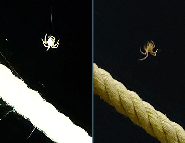 Image © Scott and Sara / TimeWarp 2021