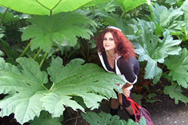 Image © Tim and Claudine / TimeWarp 2012